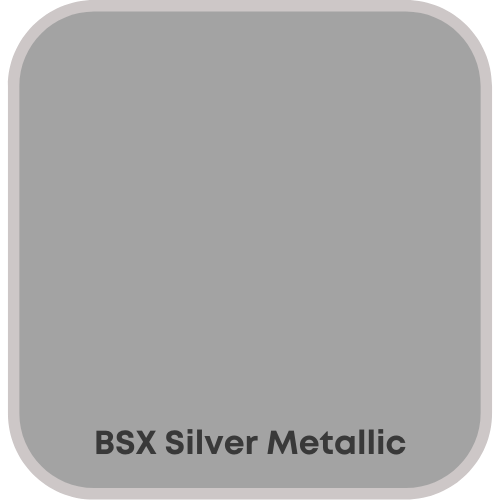 metallic bsx silver